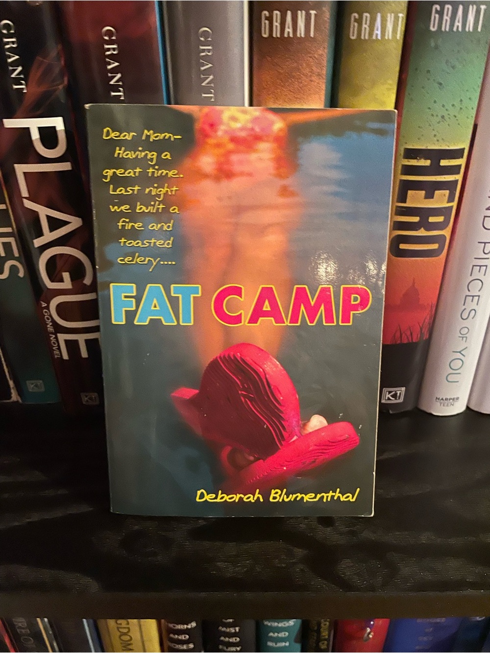 3/$20 | Fat Camp by Deborah Blumenthal